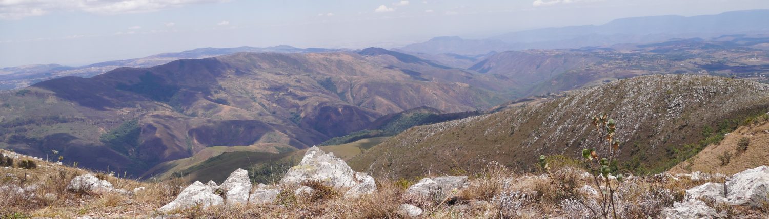 Gerard Haverkamp's Blog